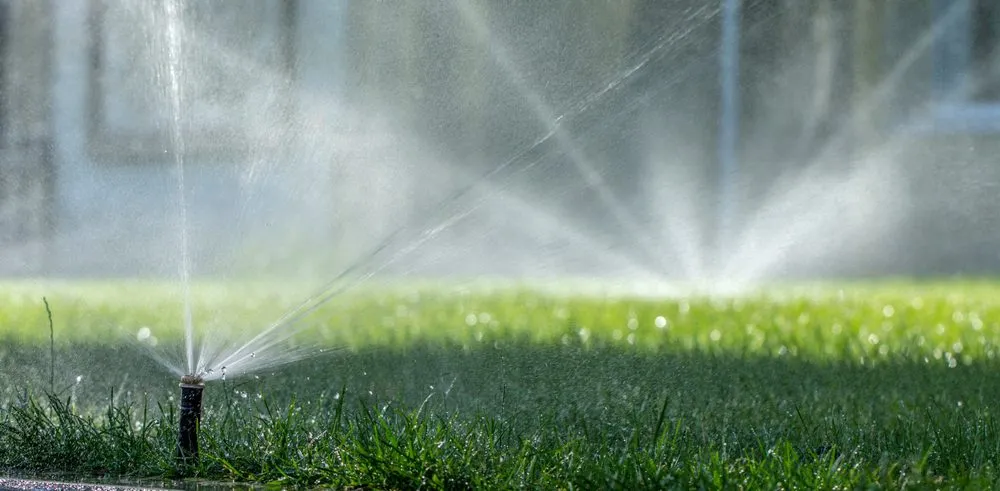 Custom landscaping services for year-round maintenance in Alhambra, CA by Sprinkler Specialist