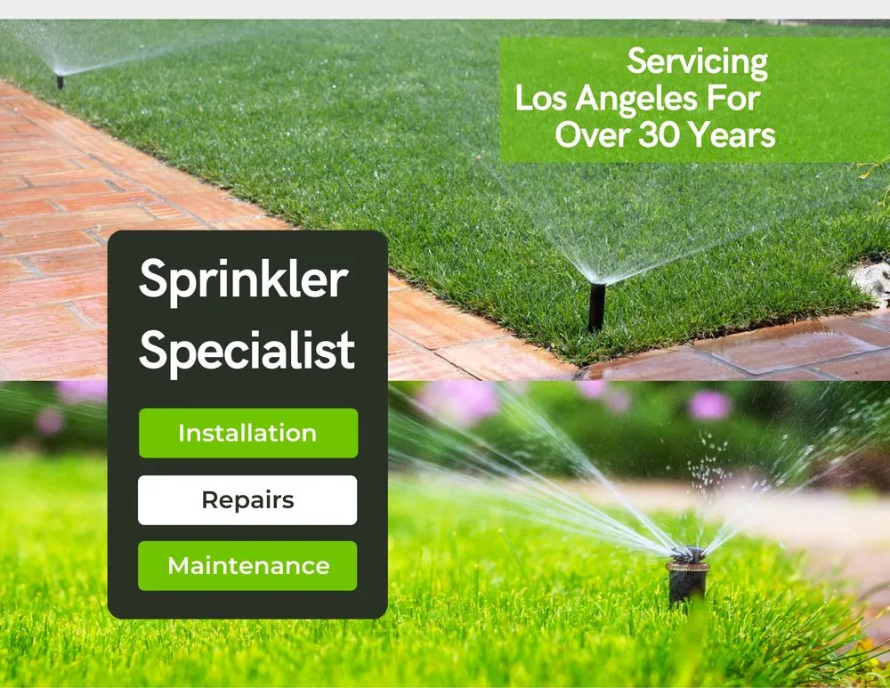 Custom landscape installation with custom design in Alhambra, CA by Sprinkler Specialist