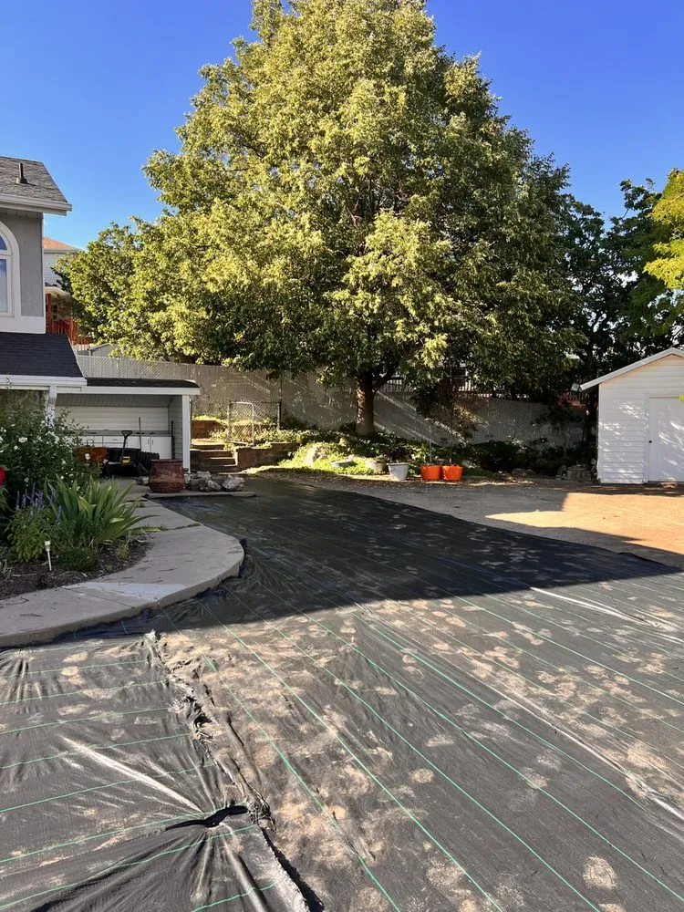 Trusted lawn mowing service in Layton, UT by Sprinkler Surgeons