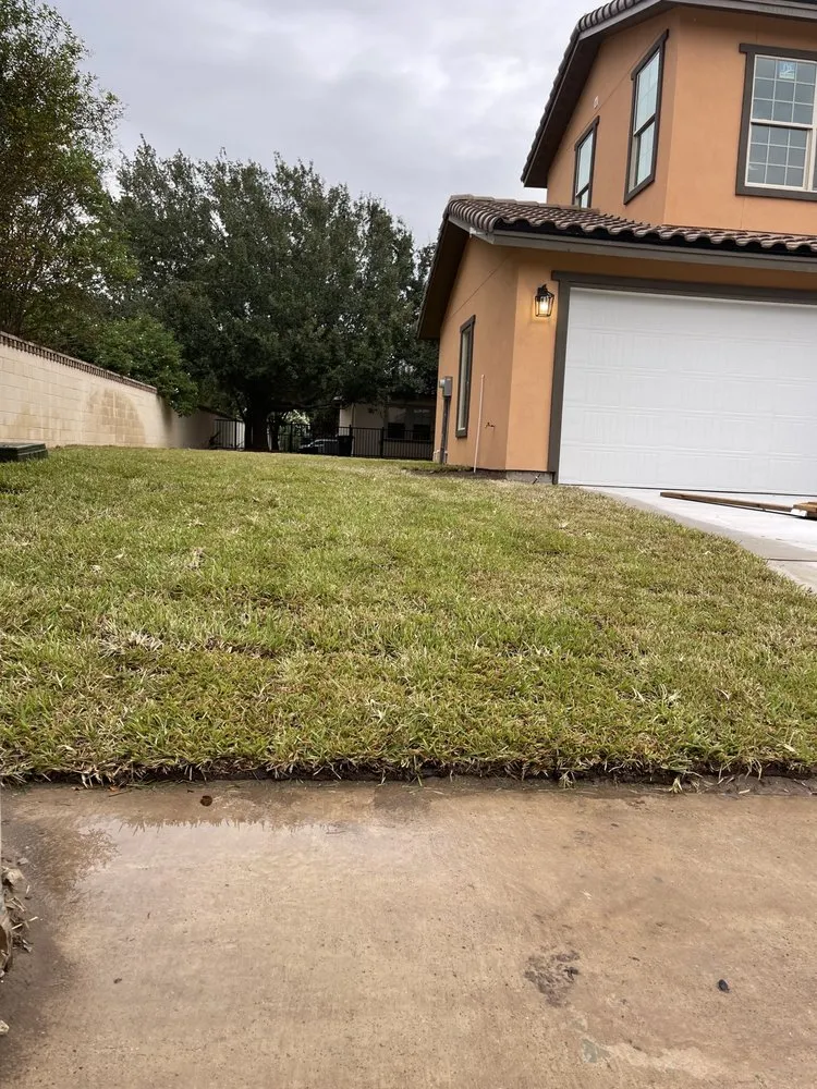 Professional outdoor landscaping in McAllen, TX by Sprinkler Systems