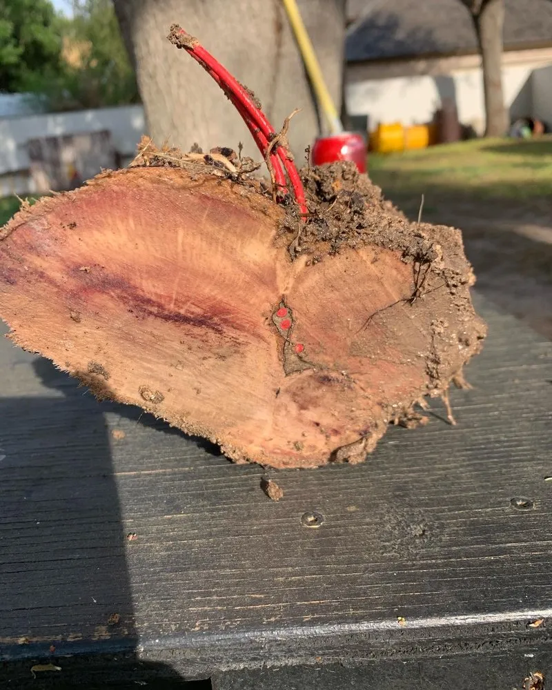 Expert garden landscaping for homes across McAllen, TX - Sprinkler Systems