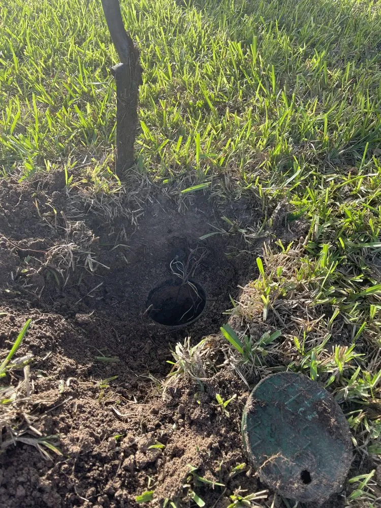 Professional landscape installation near you in McAllen, TX by Sprinkler Systems