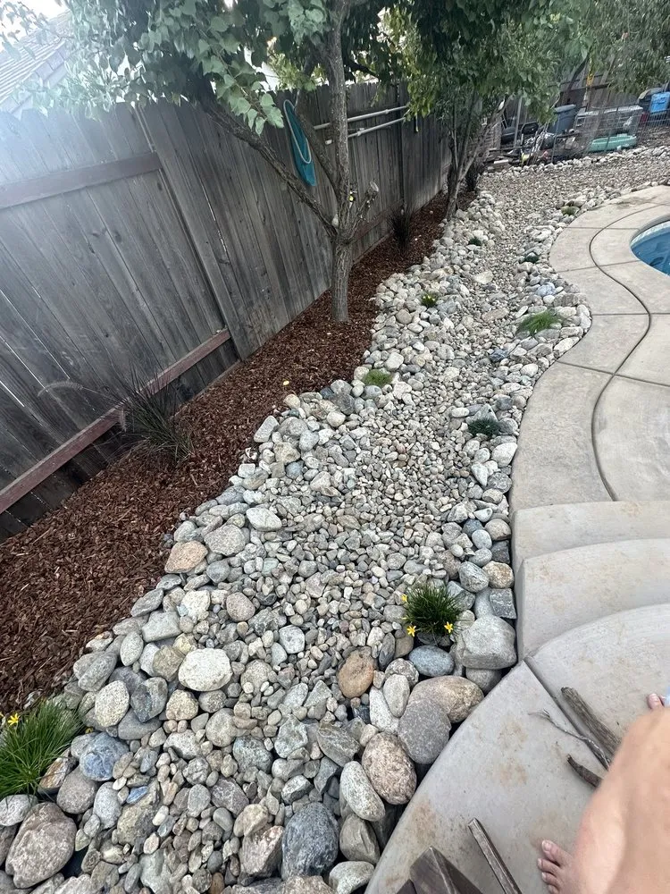 Professional yard maintenance in West Sacramento, CA by Sprinkler Techs