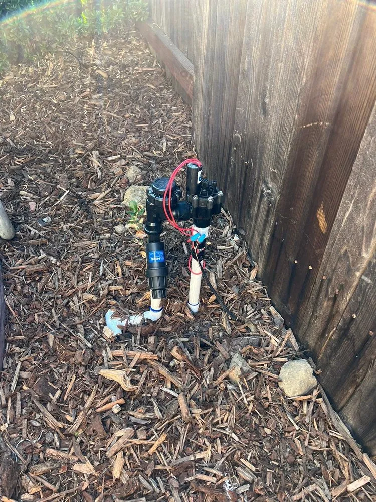 Professional landscaping services for beautiful yards in West Sacramento, CA by Sprinkler Techs