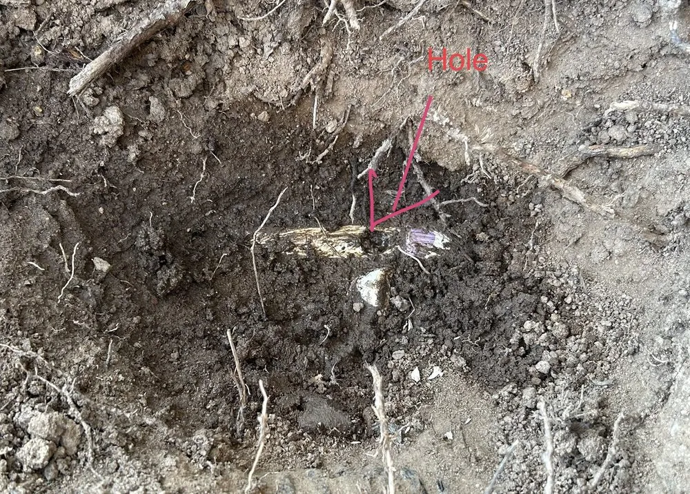 Trusted landscape design in West Sacramento, CA - Sprinkler Techs