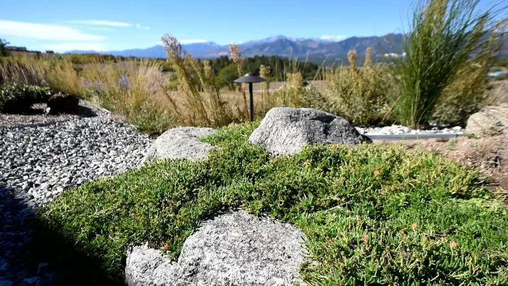 Professional landscape installation with custom design across Colorado Springs, CO - Sprinklers & Landscaping