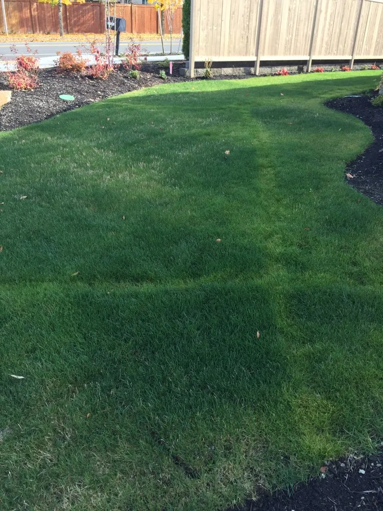 Reliable residential landscaping experts serving Snohomish, WA - Sprinklers And Backflows