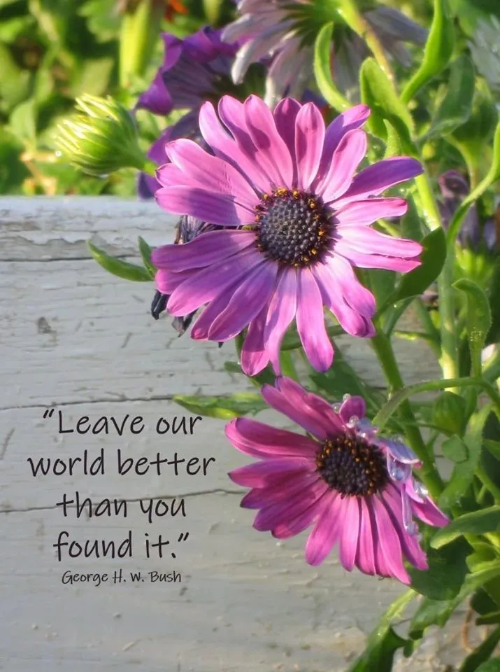 Reliable yard maintenance for year-round maintenance across Dallas, TX - Sprinklers and Lawns