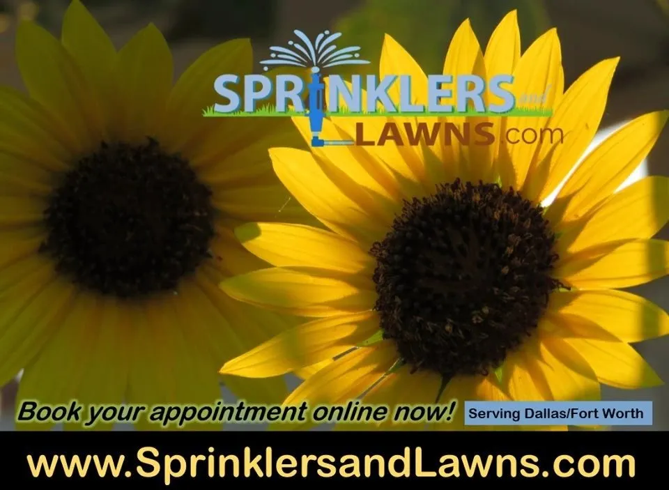Top-rated landscaping services in Dallas, TX by Sprinklers and Lawns