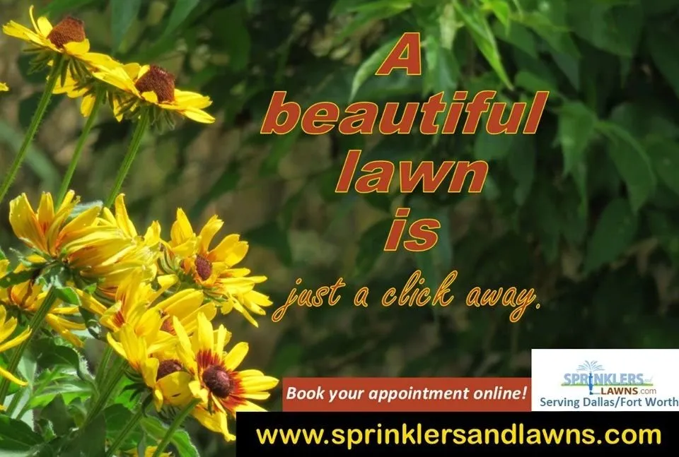Top-rated outdoor landscaping in Dallas, TX - Sprinklers and Lawns