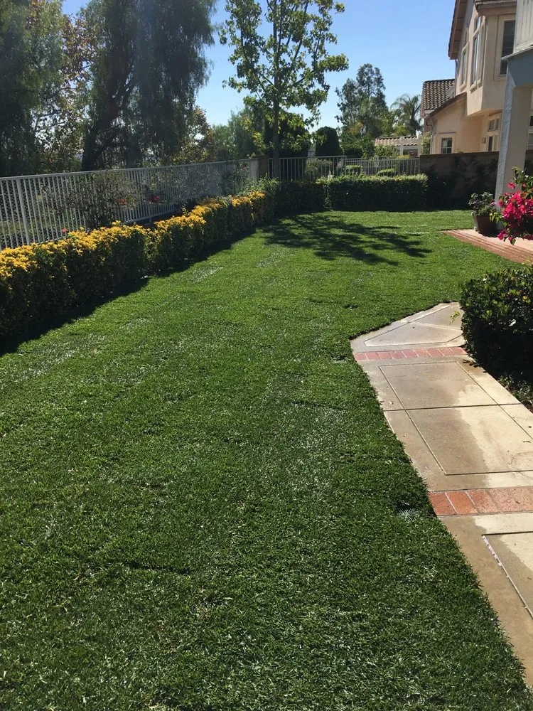 Local landscaping services in Corona, CA by Sprinklers and Turf