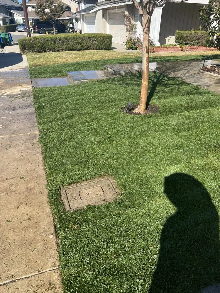 Local residential landscaping in Corona, CA - Sprinklers and Turf