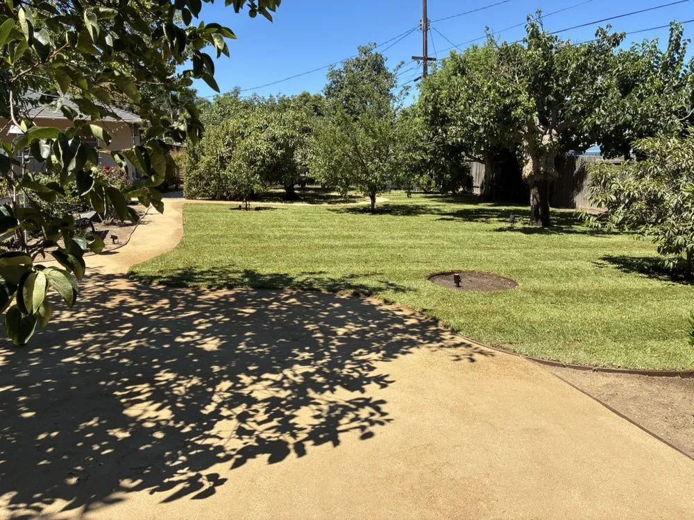 Trusted landscape installation near you in Fullerton, CA by Sprinklers and Turf