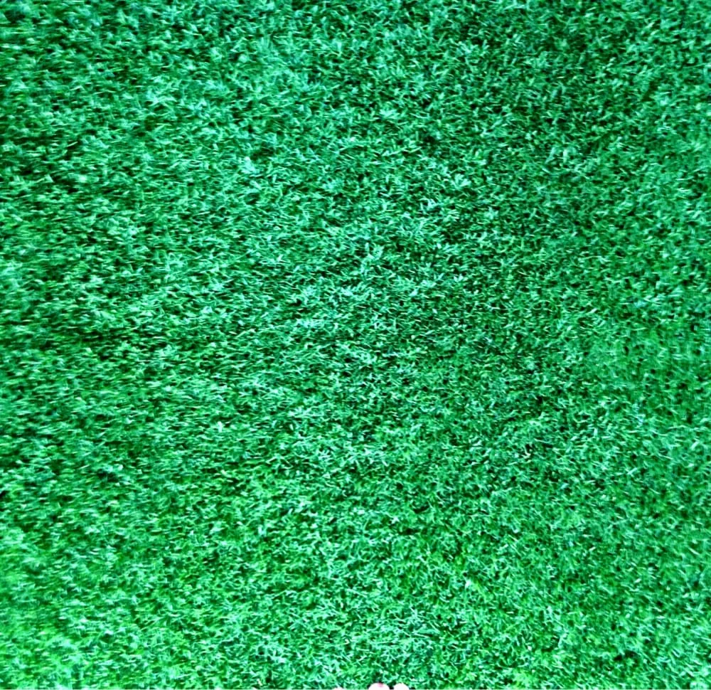 Professional garden landscaping in Fullerton, CA by Sprinklers and Turf