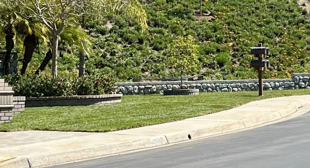 Top-rated yard cleanup service with custom design across Fullerton, CA - Sprinklers and Turf