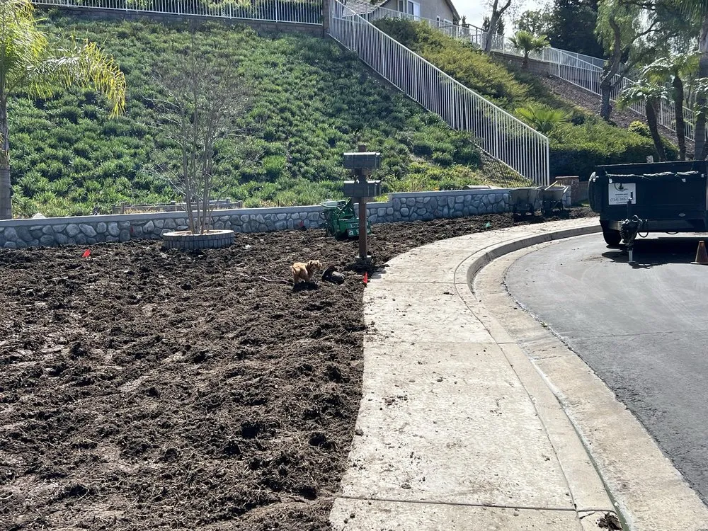 Local landscape design in Fullerton, CA by Sprinklers and Turf