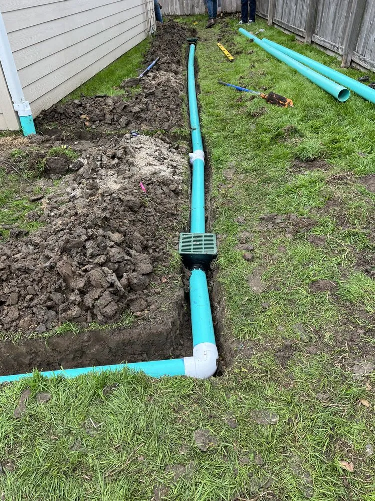 Professional yard cleanup service in Houston, TX by Sprinklers By Design