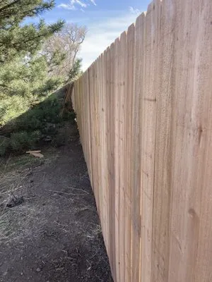 Sprinklers Evergreen & Landscape Logo