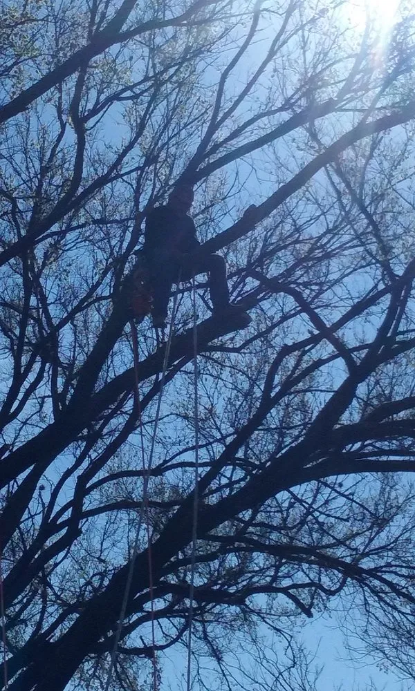 Local yard maintenance with custom design across Georgetown, TX - Sprinklers Grass & Landscapes