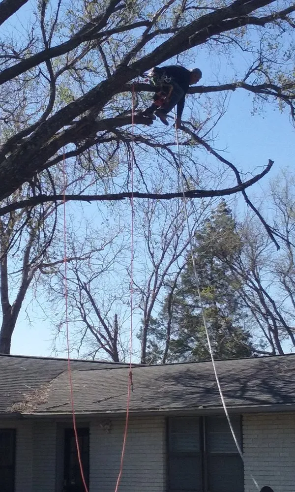 Reliable yard maintenance experts serving Georgetown, TX - Sprinklers Grass & Landscapes