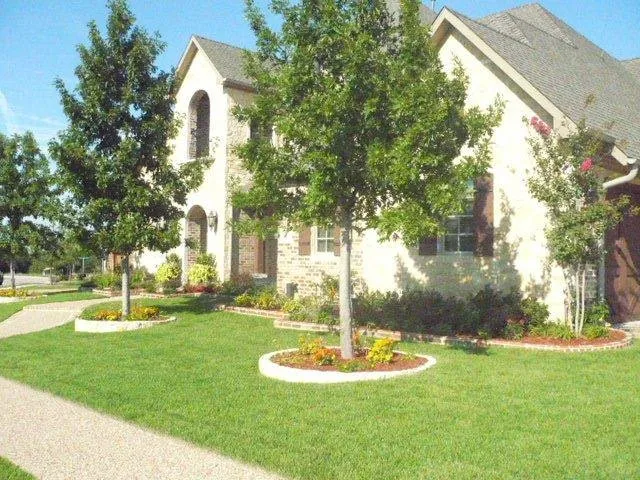 Top-rated yard maintenance in Georgetown, TX - Sprinklers Grass & Landscapes