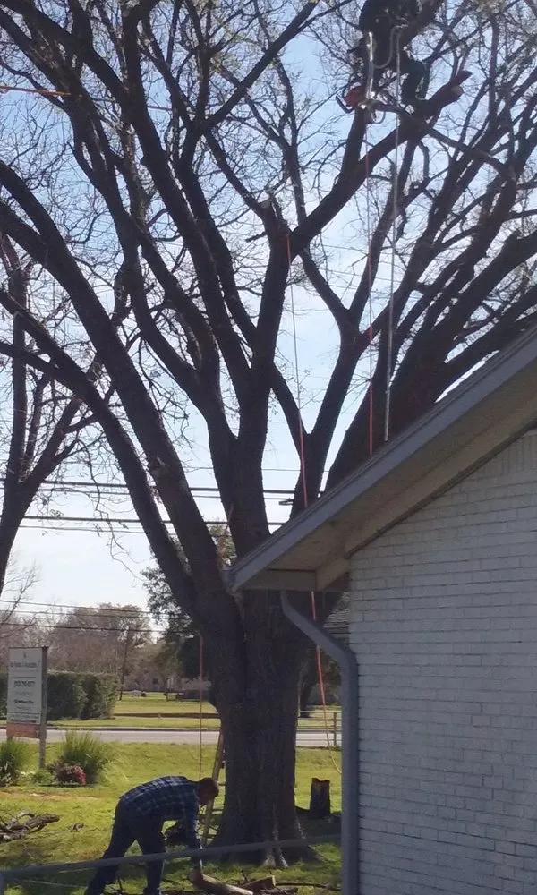 Top-rated garden landscaping for residential properties in Georgetown, TX by Sprinklers Grass & Landscapes