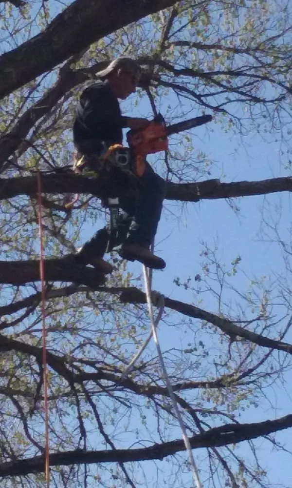 Custom landscape installation in Georgetown, TX by Sprinklers Grass & Landscapes