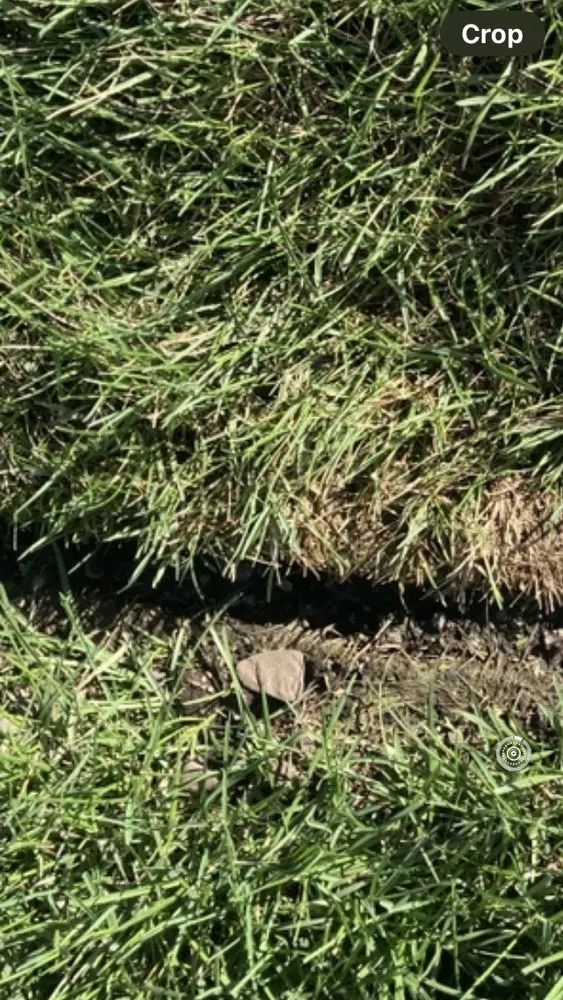 Local yard cleanup service for outdoor upgrades in Hayden, ID by Sprinklers Northwest