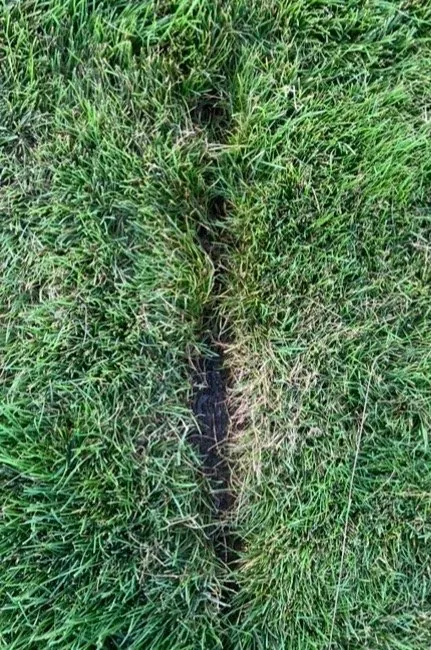 Trusted yard cleanup service experts serving Hayden, ID - Sprinklers Northwest