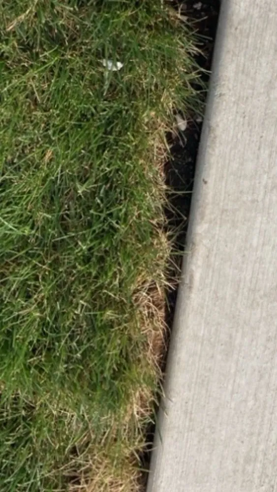 Affordable lawn mowing service near you across Hayden, ID - Sprinklers Northwest