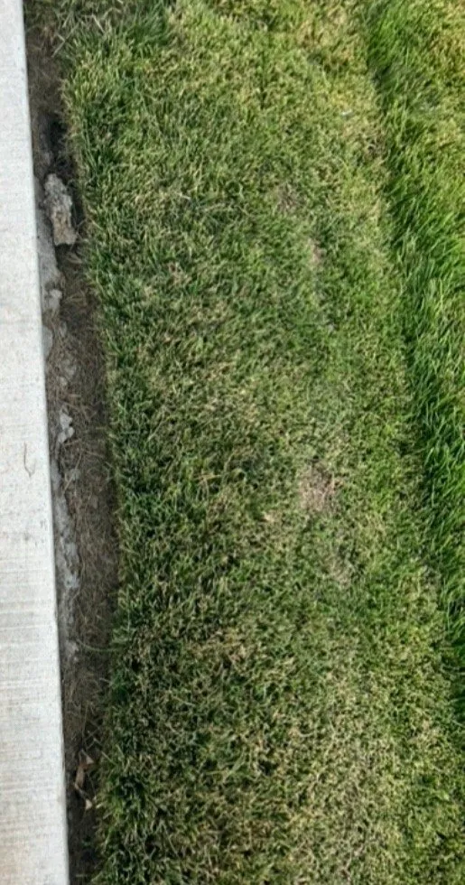 Custom outdoor landscaping experts serving Hayden, ID - Sprinklers Northwest