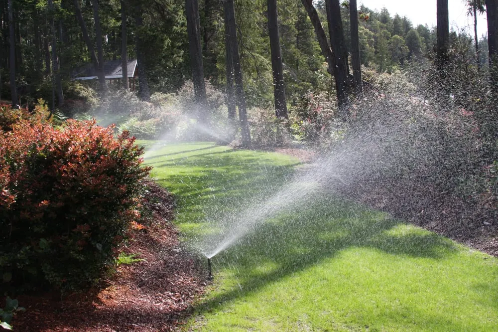 Trusted yard maintenance in Puyallup, WA by Sprinklers Only