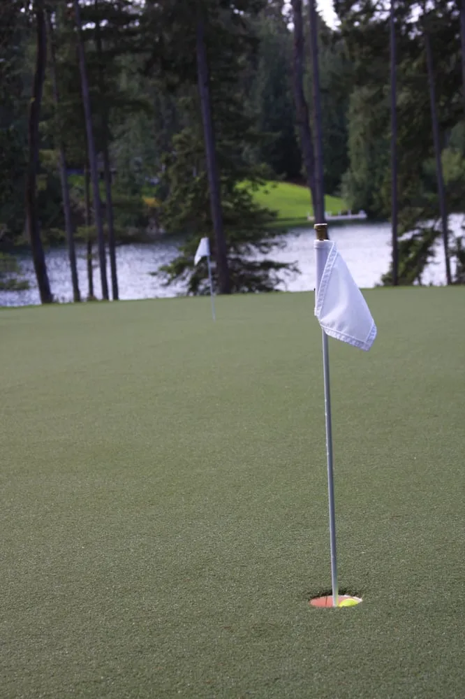 Custom yard cleanup service near you across Puyallup, WA - Sprinklers Only