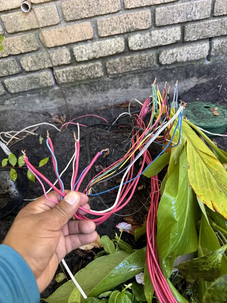 Professional outdoor landscaping in The Woodlands, TX by Sprinklers Scape