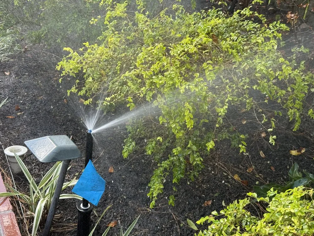 Top-rated yard maintenance for beautiful yards in The Woodlands, TX by Sprinklers Scape
