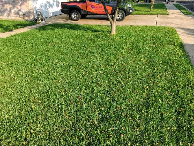 Custom lawn mowing service for homes in Cedar Park, TX by Sprinkles Pest and Lawn