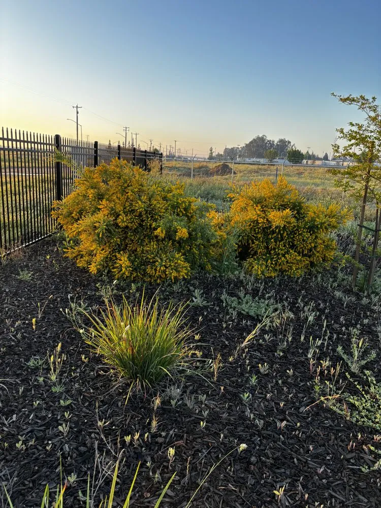 Custom landscaping services in Madera, CA - Spritz N Blitz