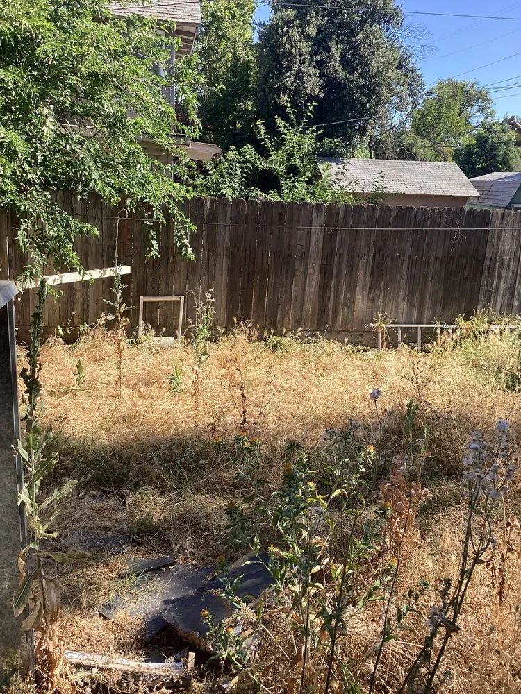 Affordable garden landscaping experts serving Madera, CA - Spritz N Blitz