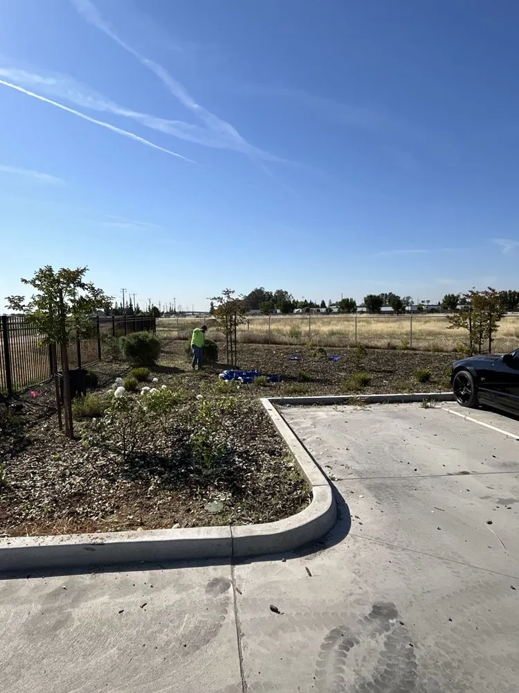 Affordable landscaping services in Madera, CA by Spritz N Blitz