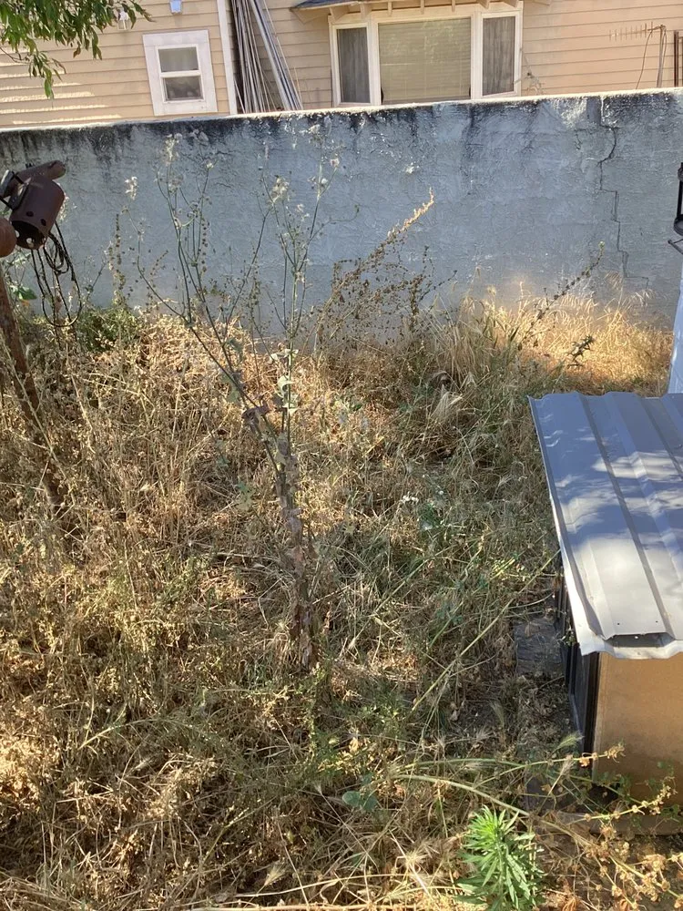 Trusted landscape installation near you across Madera, CA - Spritz N Blitz