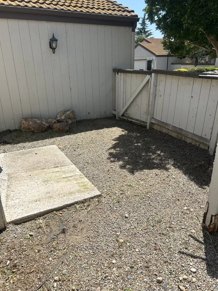 Trusted yard cleanup service for beautiful yards across Madera, CA - Spritz N Blitz