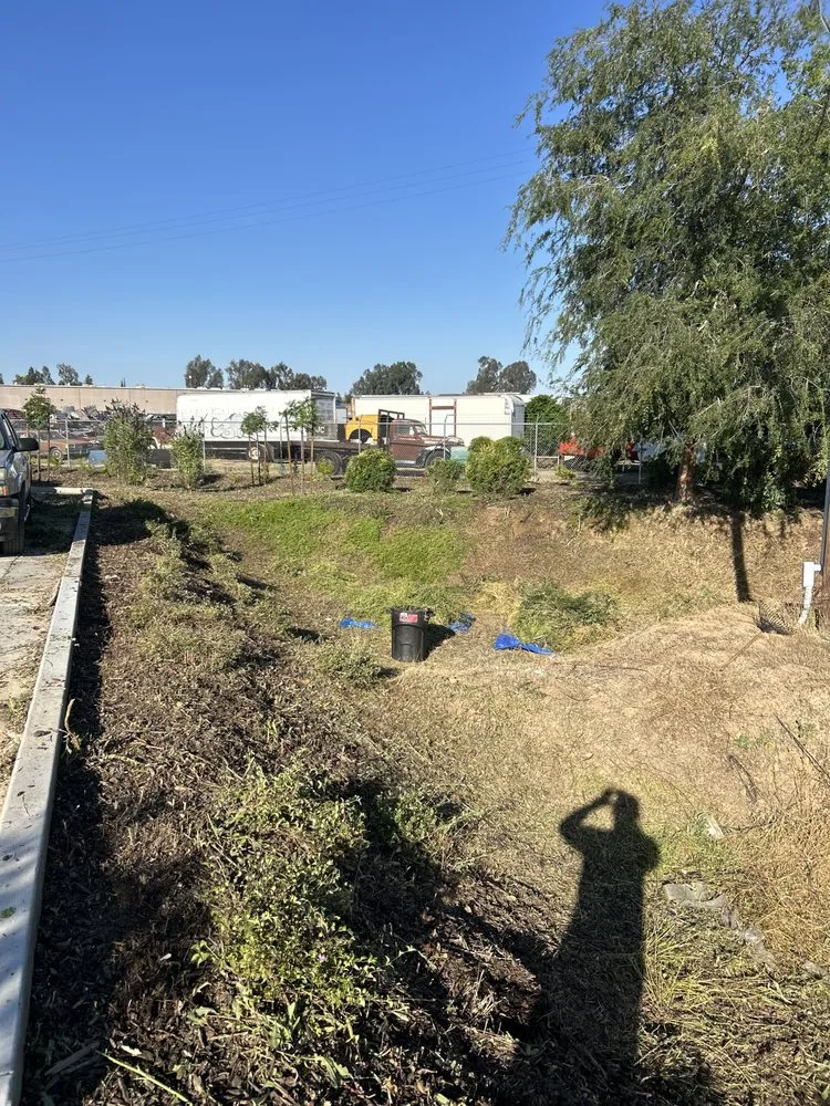 Professional landscaping services experts serving Madera, CA - Spritz N Blitz