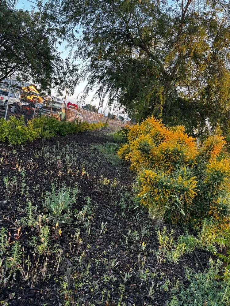 Affordable yard maintenance for residential properties across Madera, CA - Spritz N Blitz