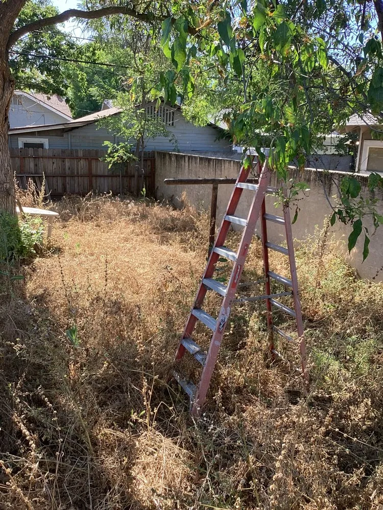 Affordable yard maintenance in Madera, CA by Spritz N Blitz
