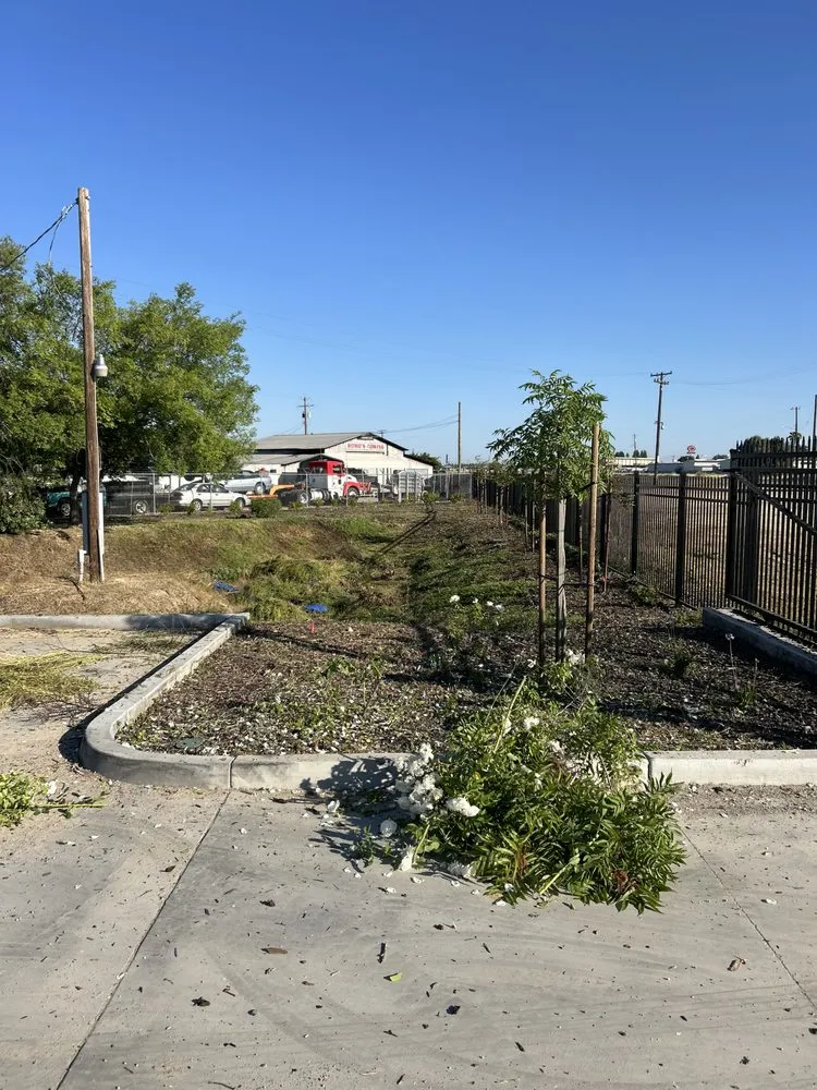 Local yard cleanup service for homes in Madera, CA by Spritz N Blitz