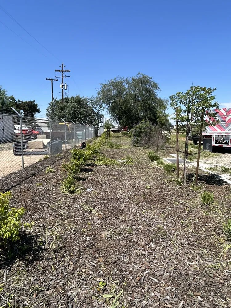 Expert lawn care service experts serving Madera, CA - Spritz N Blitz