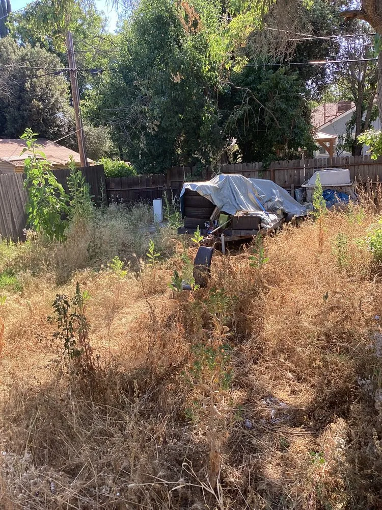 Affordable landscape design in Madera, CA by Spritz N Blitz