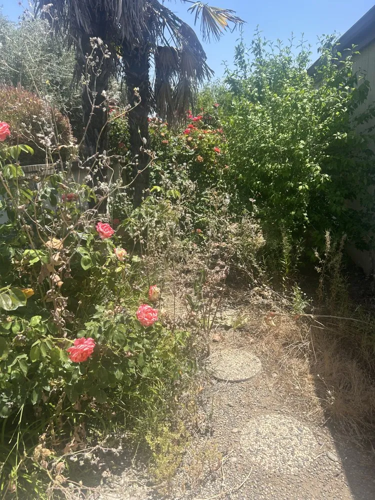 Professional lawn mowing service for beautiful yards across Madera, CA - Spritz N Blitz