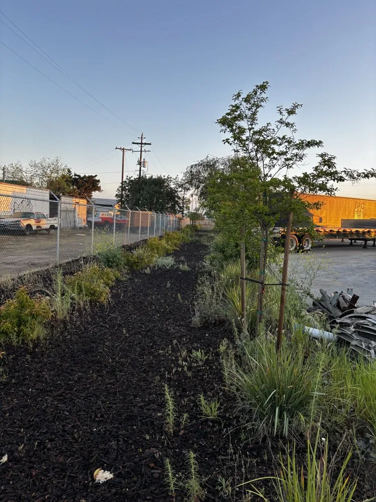 Local garden landscaping for beautiful yards across Madera, CA - Spritz N Blitz