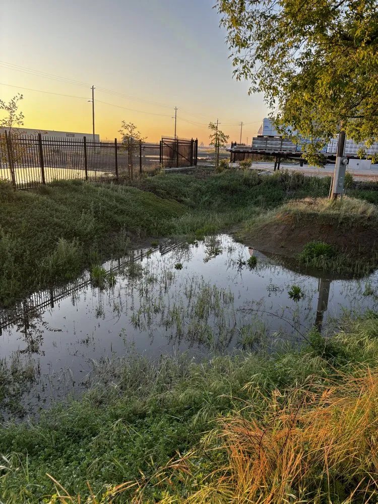 Trusted lawn care service for beautiful yards in Madera, CA by Spritz N Blitz